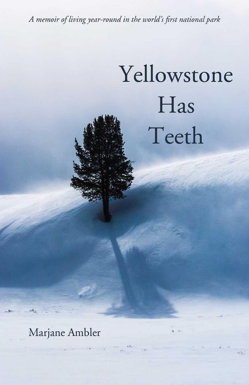 Produktbild: Yellowstone Has Teeth
