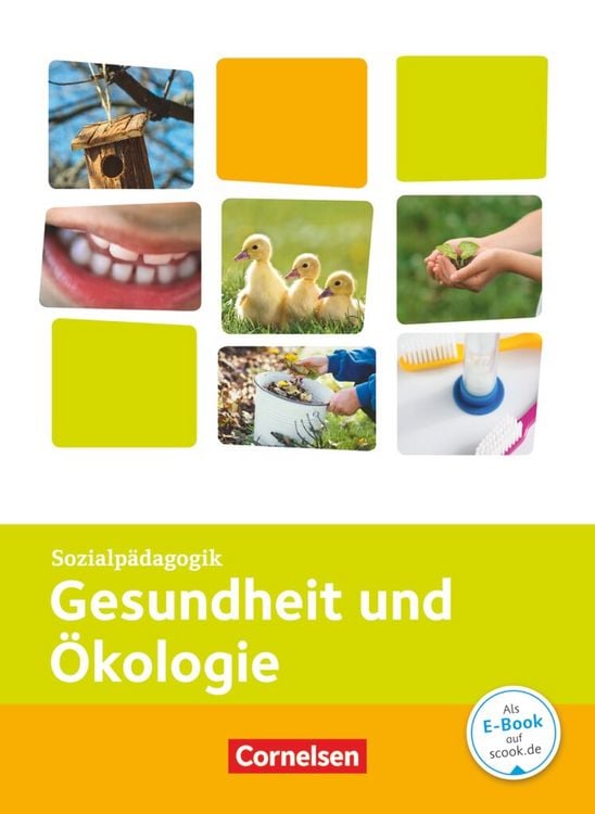 Produktbild: Kinderpflege - Gesundheit und &Ouml;kologie / Hauswirtschaft / S&auml;uglingsbetreuung / Sozialp&auml;dagogische Theorie und Praxis