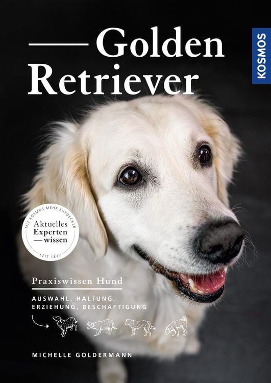 Produktbild: Golden Retriever