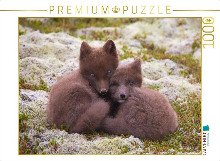 Produktbild: CALVENDO Puzzle Seite an Seite | 1000 Teile Lege-Gr&ouml;&szlig;e 64x48cm Foto-Puzzle f&uuml;r gl&uuml;ckliche Stunden