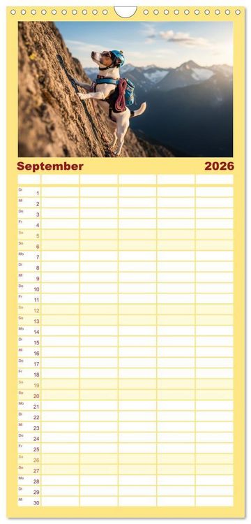 Produktbild: Familienplaner 2026 - Jack Russel Active mit 5 Spalten (Wandkalender, 21 x 45 cm) CALVENDO