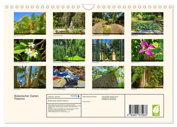 Produktbild: Botanischer Garten Palermo (Wandkalender 2026 DIN A4 quer), CALVENDO Monatskalender