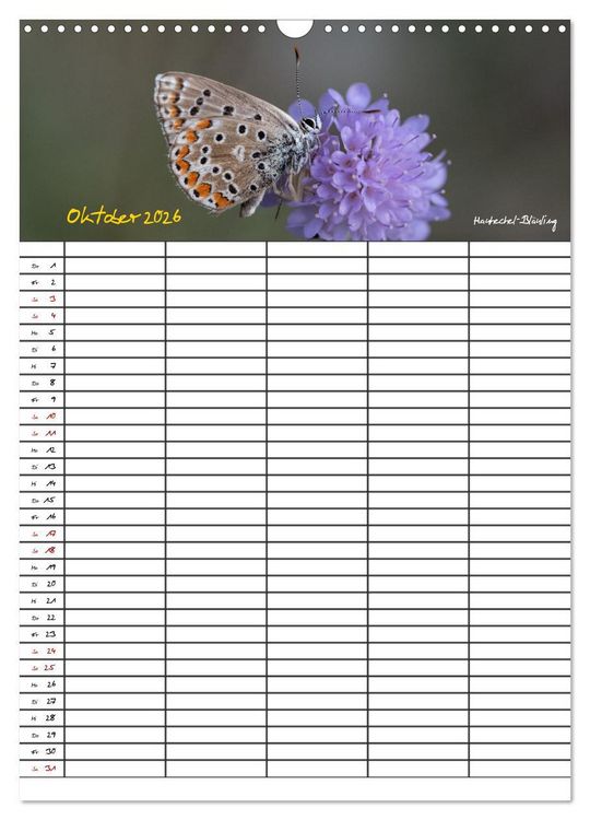 Produktbild: Schmetterlinge in Bayern (Wandkalender 2026 DIN A3 hoch), CALVENDO Monatskalender