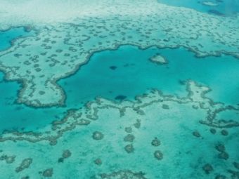 Produktbild: CALVENDO Puzzle Great Barrier Reef Queensland Australien | 1000 Teile Lege-Gr&ouml;&szlig;e 64x48cm Foto-Puzzle f&uuml;r gl&uuml;ckliche Stunden