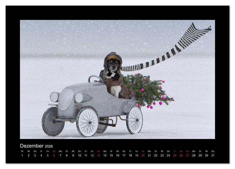 Produktbild: Jack Russell Terrier.....Ein Verwandlungsk&uuml;nstler namens Jake (hochwertiger Premium Wandkalender 2026 DIN A2 quer), Kunstdruck in Hochglanz