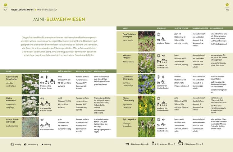 Produktbild: Wildblumen f&uuml;r Balkon und Terrasse
