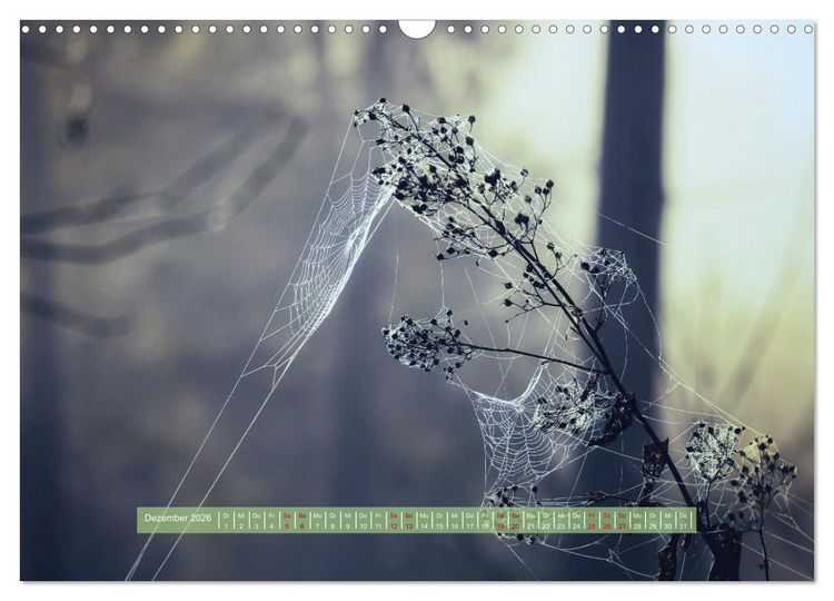 Produktbild: Zauber des Lichts (Wandkalender 2026 DIN A3 quer), CALVENDO Monatskalender