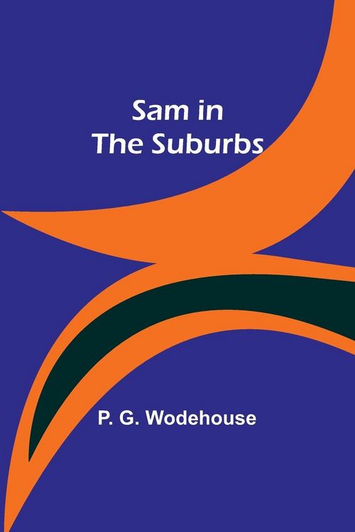 Produktbild: Sam in the Suburbs