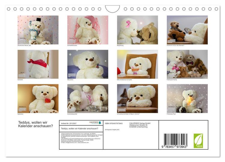 Produktbild: Teddys, wollen wir Kalender anschauen? (Wandkalender 2026 DIN A4 quer), CALVENDO Monatskalender