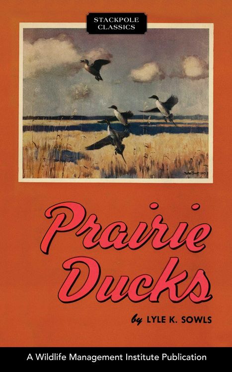 Produktbild: Prairie Ducks