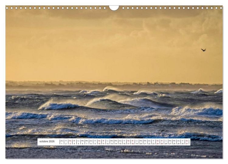 Produktbild: J'adore Le Cotentin (Calendrier mural 2026 DIN A3 vertical), CALVENDO calendrier mensuel