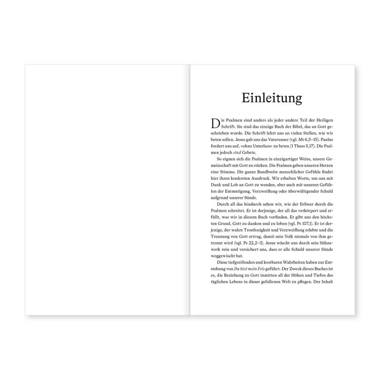 Produktbild: Du bist mein Fels