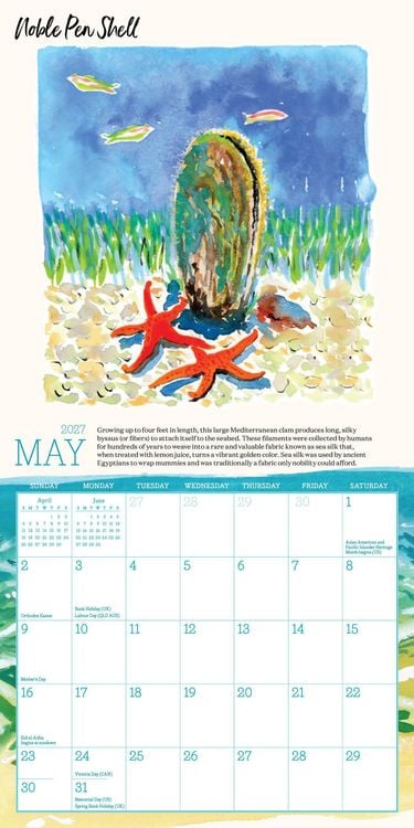 Produktbild: Searching for Seashells Mini Wall Calendar 2027