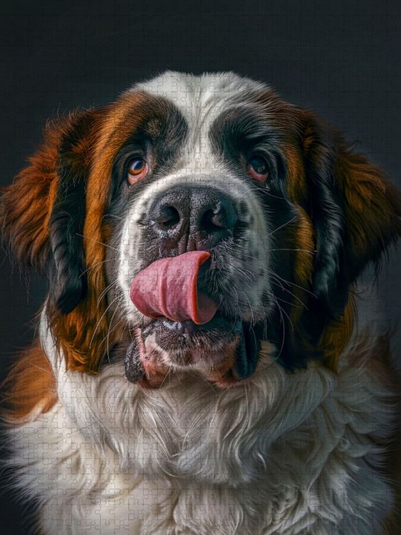 Produktbild: CALVENDO Puzzle Hier wache ich | 1000 Teile Lege-Gr&ouml;&szlig;e 64x48cm Foto-Puzzle f&uuml;r gl&uuml;ckliche Stunden