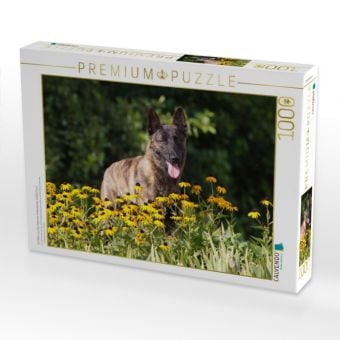 Produktbild: CALVENDO Puzzle Ein Motiv aus dem Kalender Holl&auml;ndischer Sch&auml;ferhund | 1000 Teile Lege-Gr&ouml;&szlig;e 64x48cm Foto-Puzzle f&uuml;r gl&uuml;ckliche Stunden
