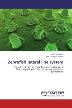 Produktbild: Wibowo, I: Zebrafish lateral line system