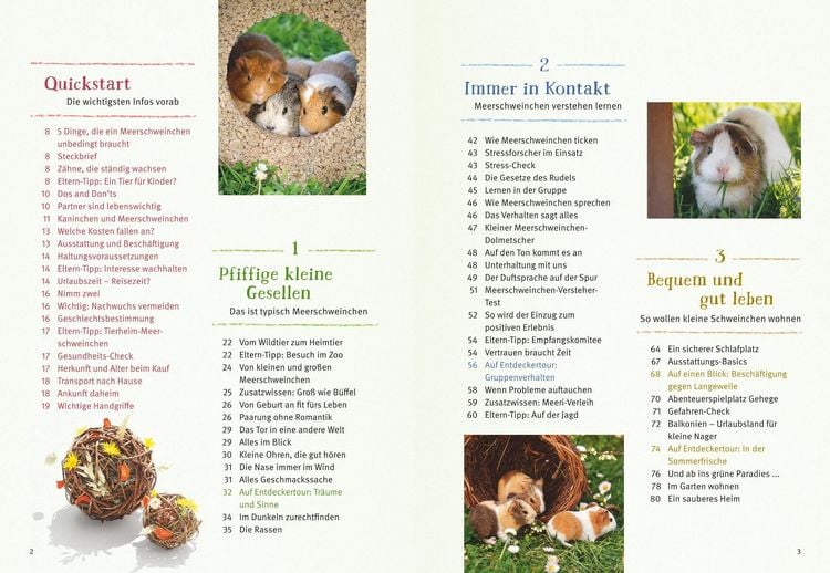 Produktbild: Neugierige Meerschweinchen