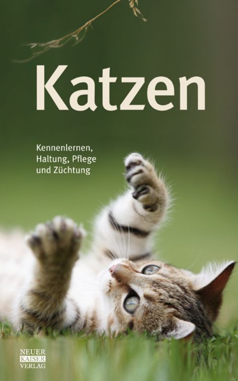 Produktbild: Katzen