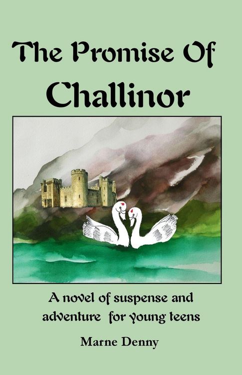 Produktbild: The Promise Of Challinor