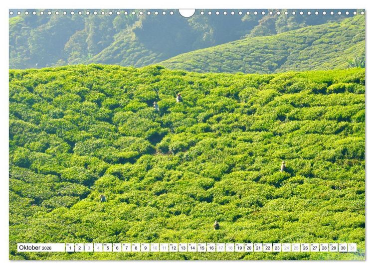 Produktbild: Weltreise, in zw&ouml;lf Fotografien einmal um die Welt (Wandkalender 2026 DIN A3 quer), CALVENDO Monatskalender