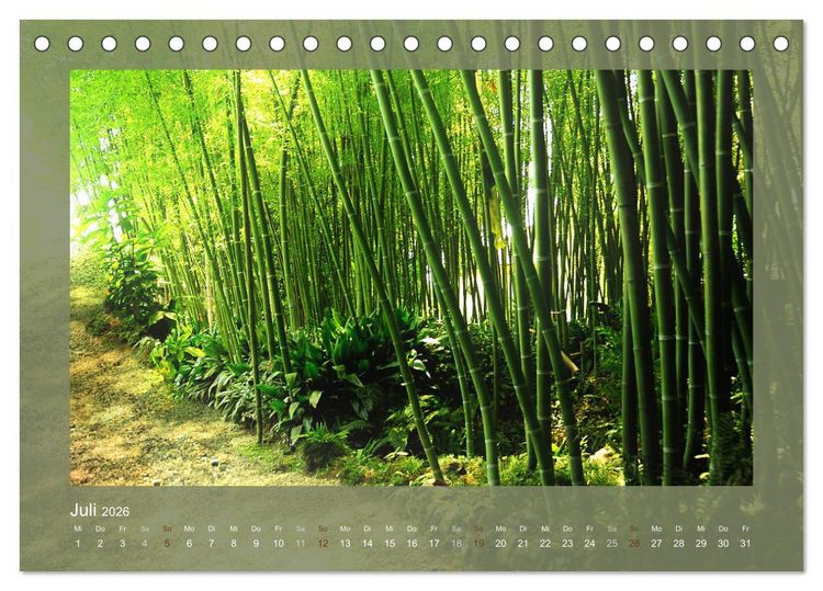 Produktbild: Bambus (Tischkalender 2026 DIN A5 quer), CALVENDO Monatskalender