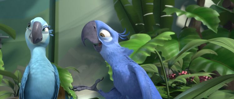 Produktbild: Rio