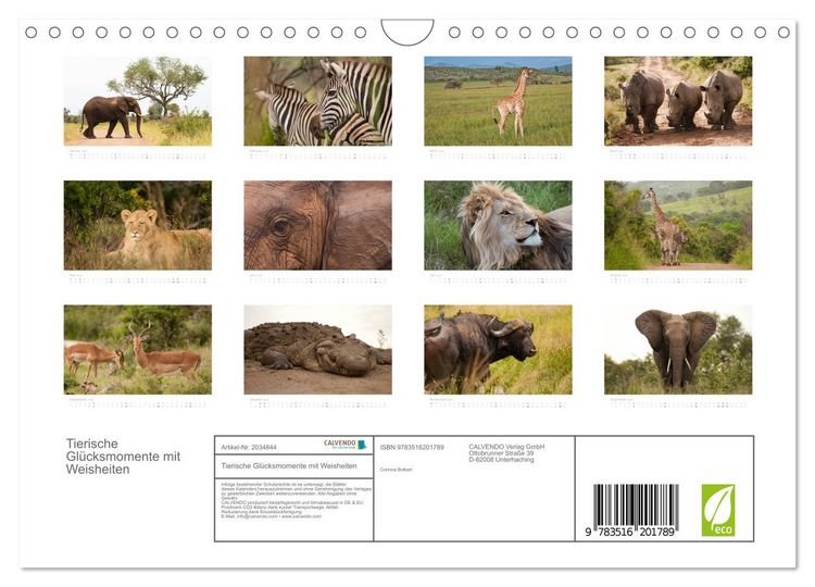 Produktbild: Tierische Gl&uuml;cksmomente mit Weisheiten (Wandkalender 2026 DIN A4 quer), CALVENDO Monatskalender