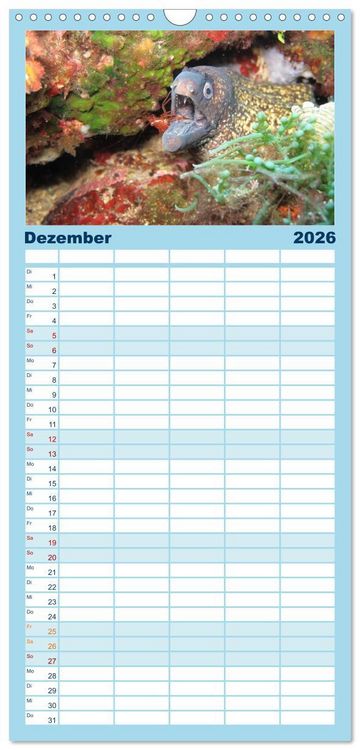 Produktbild: Familienplaner 2026 - Fische und Meerestiere mit 5 Spalten (Wandkalender, 21 x 45 cm) CALVENDO