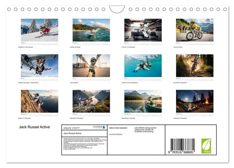 Produktbild: Jack Russel Active (Wandkalender 2026 DIN A4 quer), CALVENDO Monatskalender