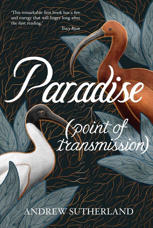 Produktbild: Paradise (point of transmission)