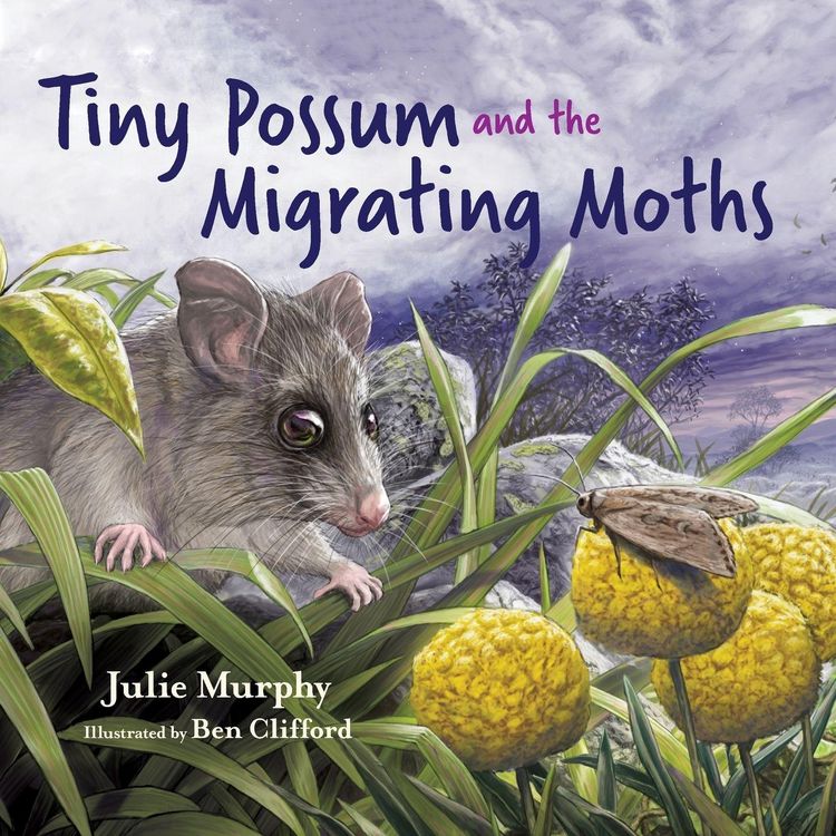 Produktbild: Tiny Possum and the Migrating Moths