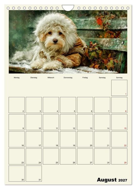 Produktbild: Schnuten im Herbstlicht. Kleine Hunde in stillen Momenten (Wandkalender 2027 DIN A4 hoch), CALVENDO Monatskalender