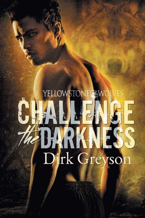 Produktbild: Challenge the Darkness