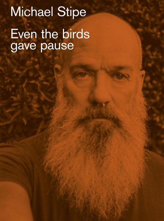 Produktbild: Michael Stipe: Even the birds gave pause
