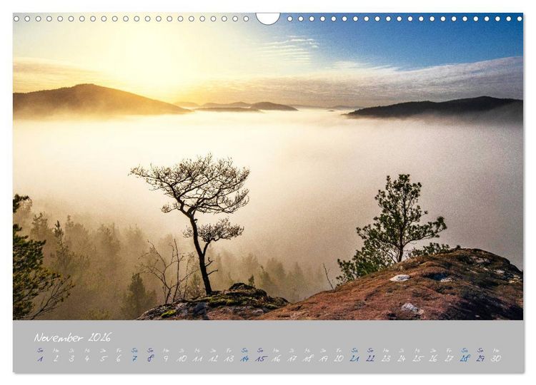 Produktbild: Ausfl&uuml;ge in der Heimat - Die Pfalz (Wandkalender 2026 DIN A3 quer), CALVENDO Monatskalender