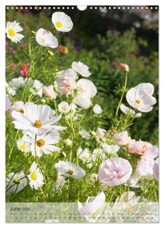 Produktbild: Garden Bliss (Wall Calendar 2026 DIN A3 portrait), CALVENDO 12 Month Wall Calendar