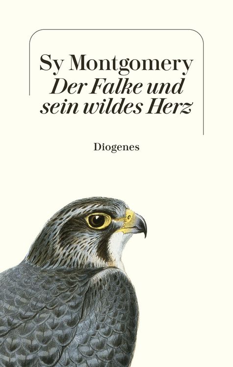 Produktbild: Der Falke und sein wildes Herz