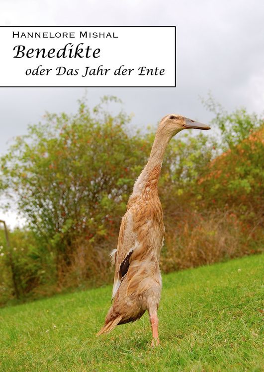 Produktbild: Benedikte oder das Jahr der Ente