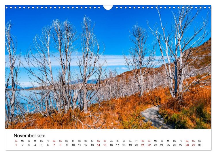 Produktbild: W&auml;lder: die letzte Zuflucht f&uuml;r die Wildnis (Wandkalender 2026 DIN A3 quer), CALVENDO Monatskalender