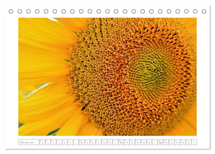 Produktbild: Sonnentage 2026 (Tischkalender 2026 DIN A5 quer), CALVENDO Monatskalender
