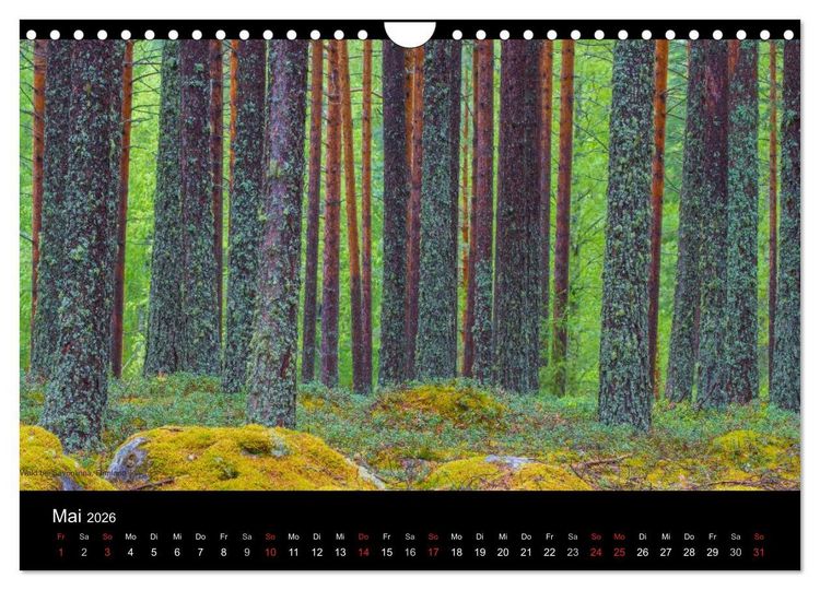 Produktbild: Naturwucht Skandinavien (Wandkalender 2026 DIN A4 quer), CALVENDO Monatskalender