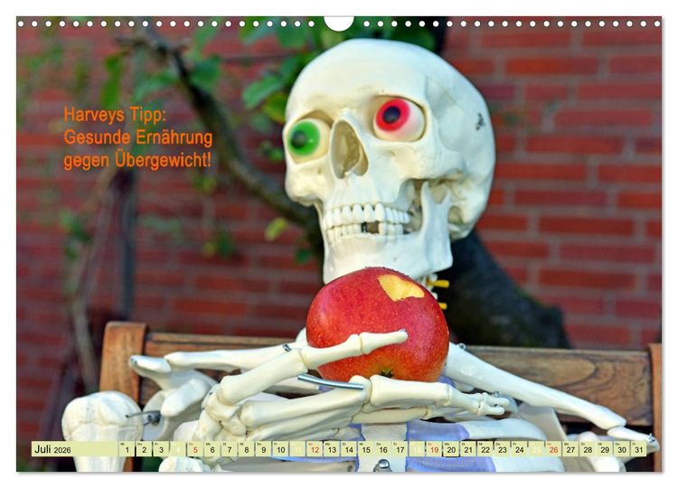 Produktbild: Harvey, der Heilpraktiker (Wandkalender 2026 DIN A3 quer), CALVENDO Monatskalender