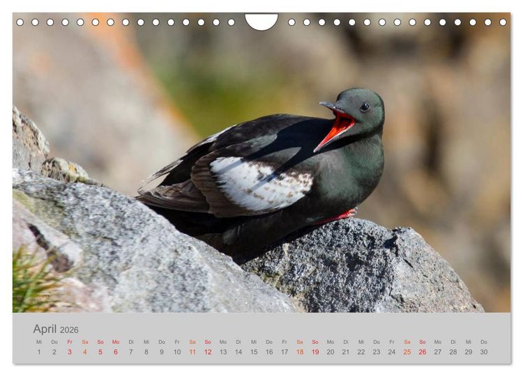 Produktbild: Spitzbergen 80&deg; Nord (Wandkalender 2026 DIN A4 quer), CALVENDO Monatskalender
