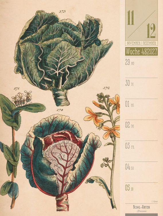 Produktbild: Culinarium Wochenplaner Kalender 2027 | K&uuml;che, Kr&auml;uter, Kurioses