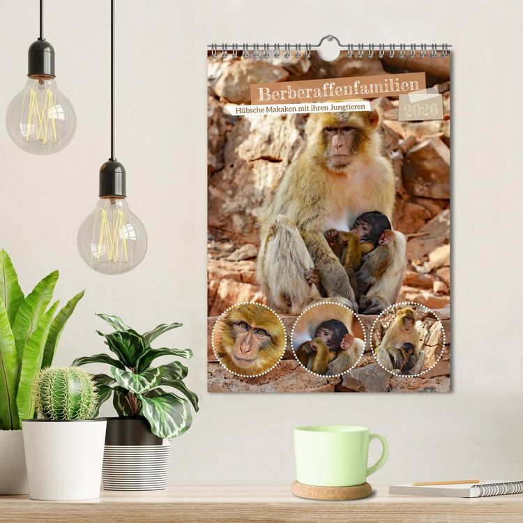 Produktbild: Berberaffenfamilien (Wandkalender 2026 DIN A4 hoch), CALVENDO Monatskalender