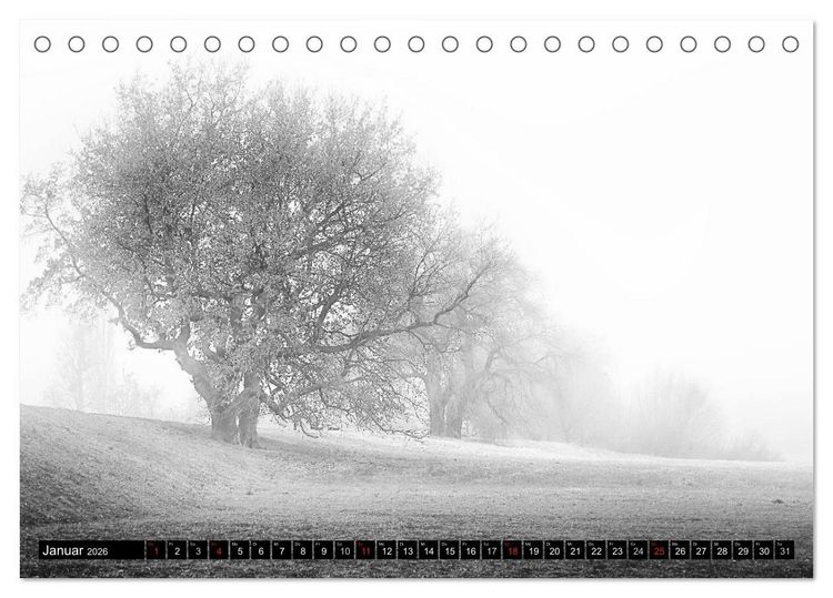 Produktbild: Die Magie der Stille (Tischkalender 2026 DIN A5 quer), CALVENDO Monatskalender
