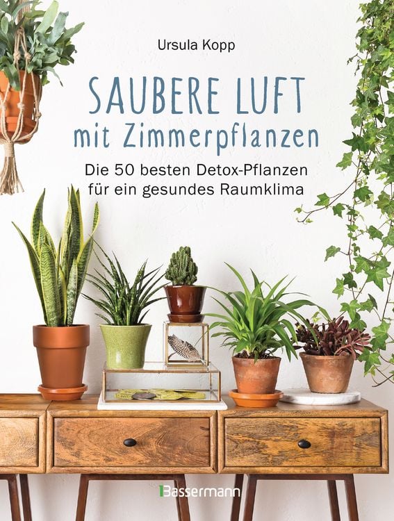 Produktbild: Saubere Luft mit Zimmerpflanzen