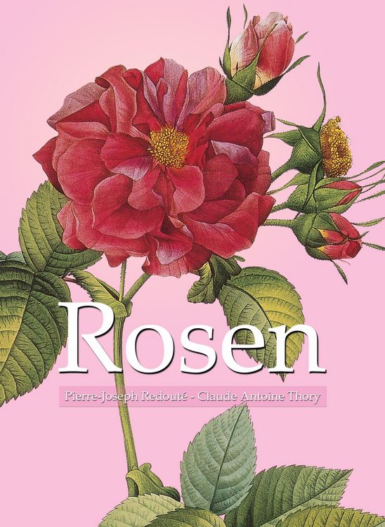 Produktbild: Rosen