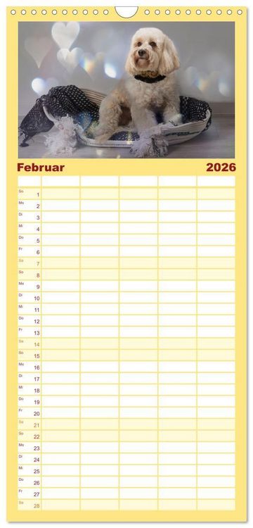 Produktbild: Familienplaner 2026 - Maltipoo - Malteser -Pudel mit 5 Spalten (Wandkalender, 21 x 45 cm) CALVENDO