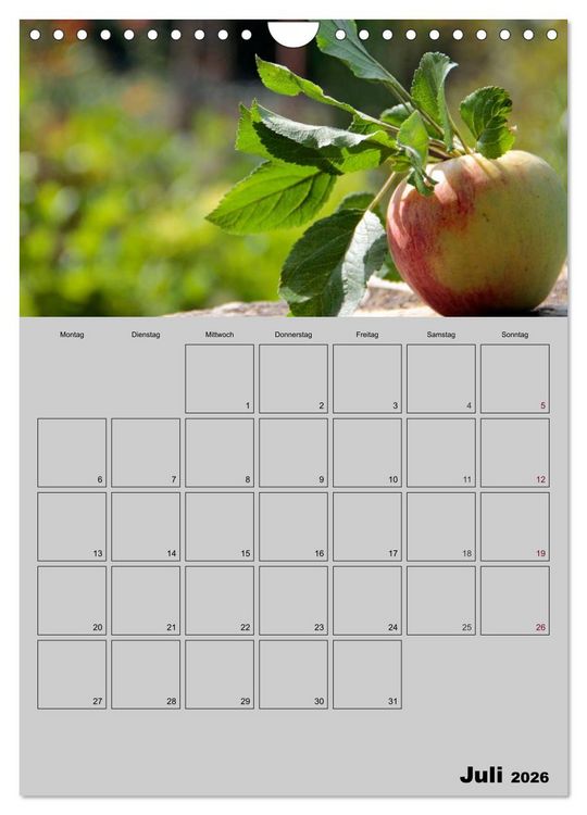 Produktbild: Zeitgewinn (Mein Terminplaner) (Wandkalender 2026 DIN A4 hoch), CALVENDO Monatskalender
